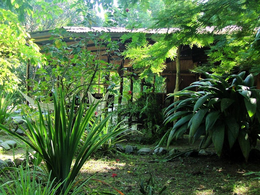 Los Mineros Guesthouse Dos Brazos Buitenkant foto