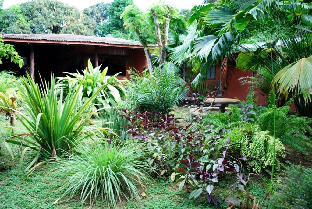 Los Mineros Guesthouse Dos Brazos Buitenkant foto