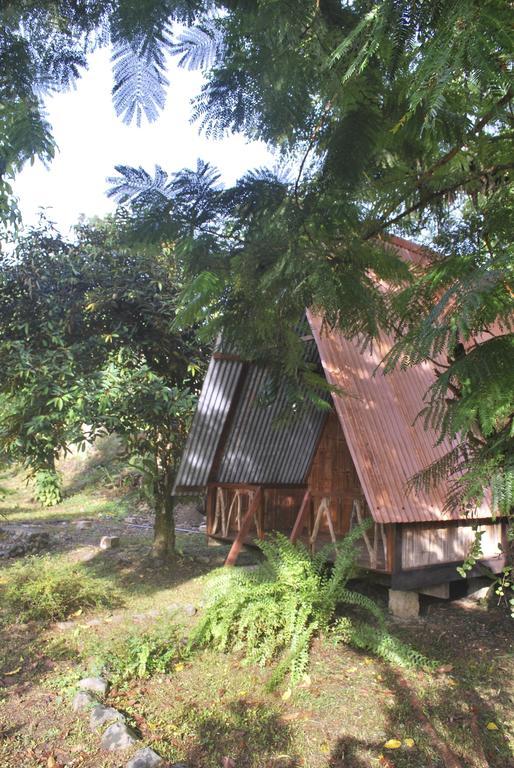 Los Mineros Guesthouse Dos Brazos Buitenkant foto