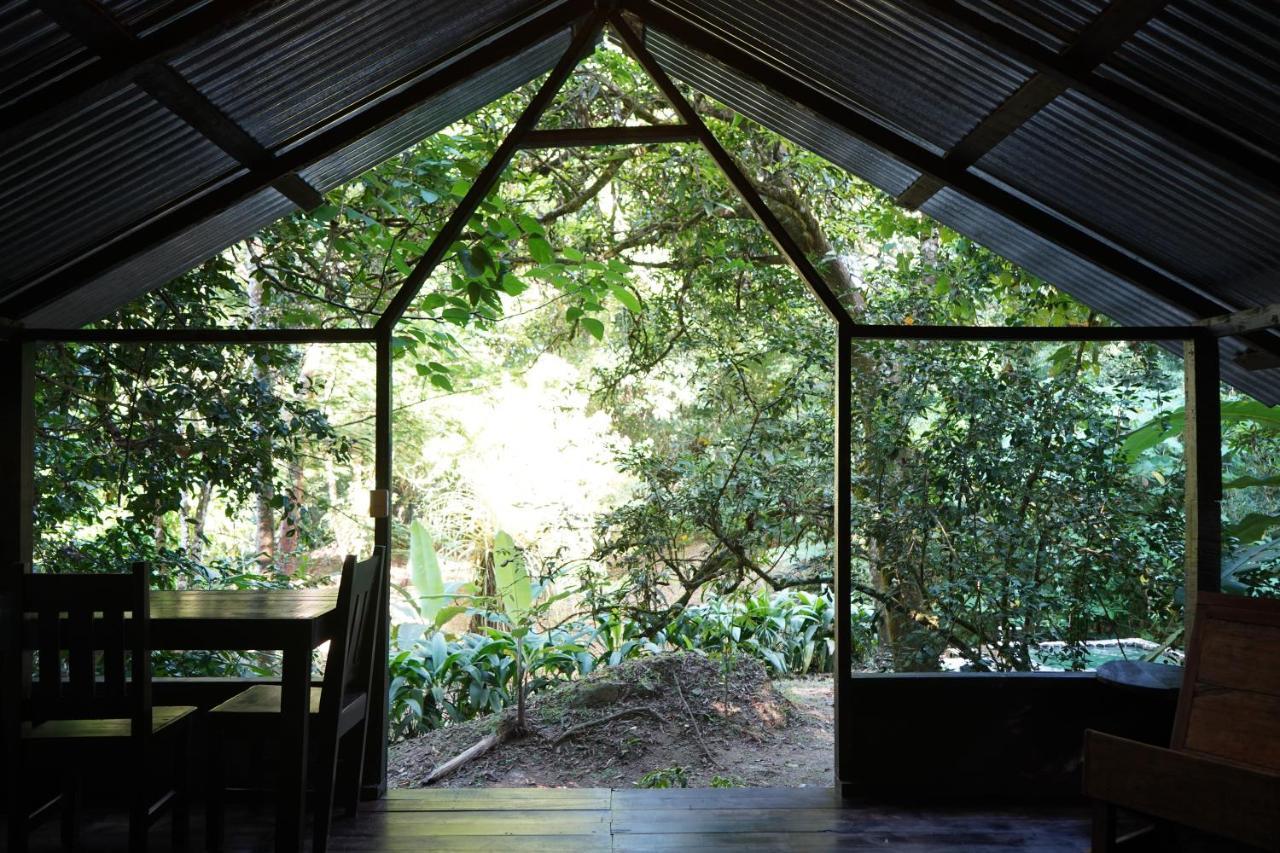 Los Mineros Guesthouse Dos Brazos Buitenkant foto
